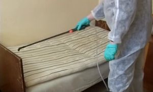 Уничтожение клопов в палате