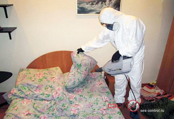 dezinfekciya-ot-klopov-1