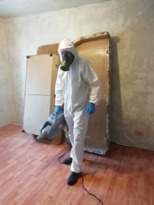 Обработка от клопов в новой квартире