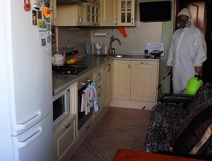 Уничтожение клопов на кухне