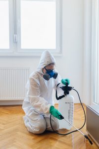 Травля клопов под плинтусом