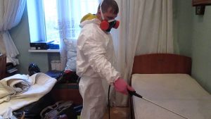 Выведение постельных клопов