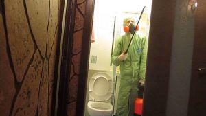 Травля клопов в туалете