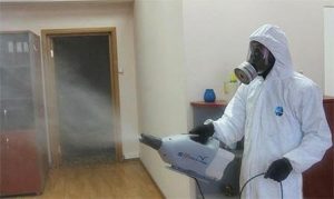 Обработка квартиры от клопов