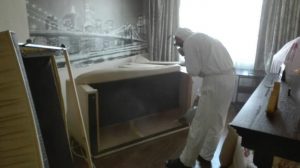 Выведение клопов в спальне