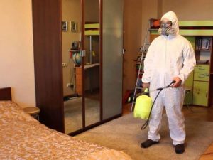 Выведение клопов в спальне