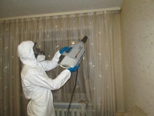 Выведение клопов в зале