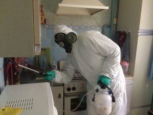 Уничтожение клопов на кухне