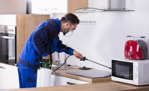 Травля клопов на кухне