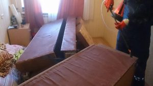 Уничтожение клопов в квартире