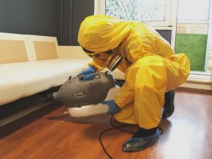 Травля клопов под диваном