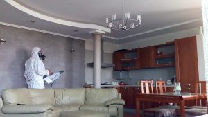 Уничтожение клопов в коттедже